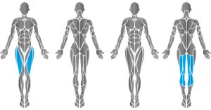 HUR Leg Extension/Curl 5530