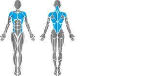 HUR Twist Rehab 5340 